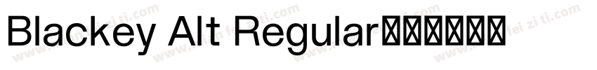 Blackey Alt Regular字体转换